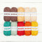 Paintbox Yarns Cotton Aran 10 Ball Colour Packs - Savanah