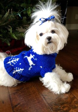 Winter Wonderland dog sweater