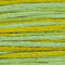 Weeks Dye Works 6-Strand Floss - Pistachio (2206)
