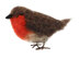 The Crafty Kit Company British Birds Red Robin Needle Felting Kit - 140 x 240 x 65mm