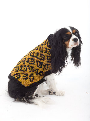 Animal Lover Dog Sweater in Lion Brand Vanna's Glamour - L32370