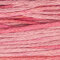 Weeks Dye Works 6-Strand Floss - Camellia (2276)