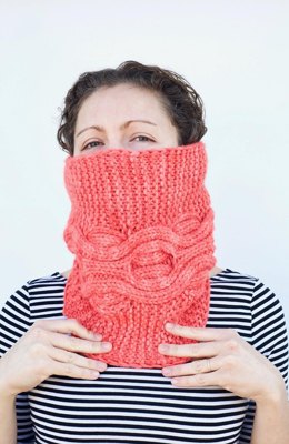 Secondary Cowl