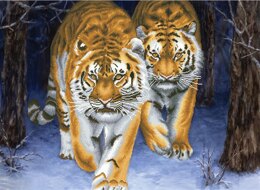 Needleart World Stalking Tigers No-Count Cross Stitch Kit - N750-042