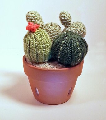 Knitted Cactus Garden