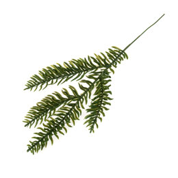 Blätter von Groves: Kiefernnadeln: 250mm x 120mm x 15mm Zweige