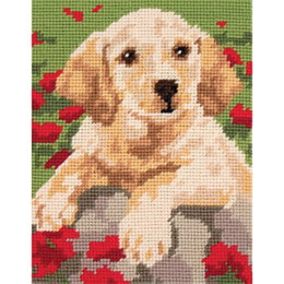 Anchor Labrador Puppy Tapestry Starters Kit