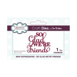 Creative Expressions Sue Wilson Mini Expressions So Glad We're Friends Craft Die