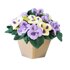 The Pansy Pot