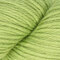 Cascade Yarns 220 - Leaf Green (1002)