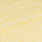 Paintbox Yarns Simply Aran 10er Sparsets - Banana Cream (220)