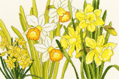 Bothy Threads Daffodil Blooms Cross Stitch Kit