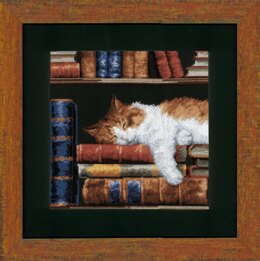 Vervaco Schlafende Katze auf Büchergestell Kreuzstich-Stickset - 26 x 26 cm