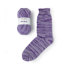 Paintbox Yarns Socks - Zebra - Violette (SZ05)