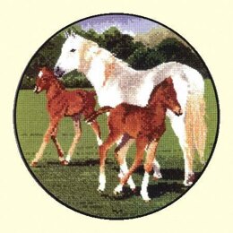 Heritage Horse Play Chartpack - Leaflet