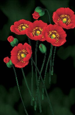 Needleart World Red Poppies on Black Aida No-Count Cross Stitch Kit - 41cm x 62cm