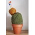 Beginner's Knit a Cactus