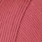 Valley Yarns Southwick 10 Ball Value Pack -  Raspberry Rose (29)
