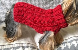 Red Wine Cabled Dog Sweater