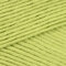 King Cole Bamboo Cotton DK - Green (533)