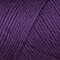 Caron Simply Soft - Purple (9781)