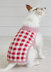 Picnic Pooch - Dog Coat Knitting Pattern For Pets in Debbie Bliss Rialto Aran by Debbie Bliss