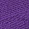 Paintbox Yarns Simply Chunky - Pansy Purple (347)