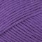 Paintbox Yarns Cotton Aran 10 Ball Value Pack - Pansy Purple (648)