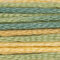 Anchor Multicolour Stranded Cotton - 1353