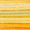 Anchor Multicolour Stranded Cotton - 1304