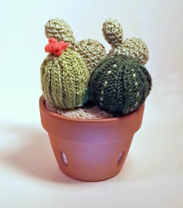 Knitted Cactus Garden
