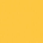 Bright Yellow (2000-Y06)