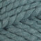 Lion Brand Wool Ease Thick & Quick - Succulent (116E)