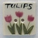 Mill Hill 86061T - Tulip Seed Pack