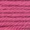 Anchor Tapestry Wool - 8418