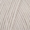 Cascade 220 Superwash - Feather Grey (0875)