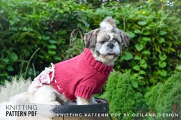 Lace cherry dress for dog