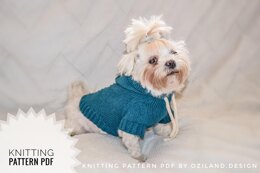 Sport hoodie clothes for dog