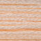 Anchor 6 Strand Embroidery Floss - 1009