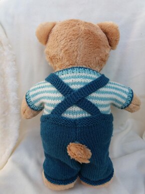 Teddy bear dungarees and top