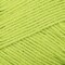Paintbox Yarns Cotton DK 10 Ball Value Pack - Lime Green (429)