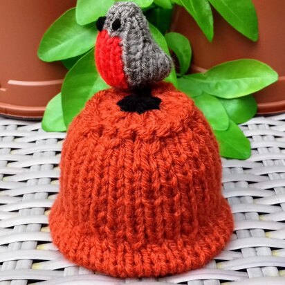 Robin on Flowerpot - Chocolate Orange Cover