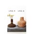 Two little vases 1