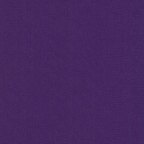 Purple (1301)