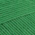Paintbox Yarns 100% Wool Worsted Superwash - Grass Green (1229)