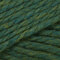 Cascade Pacific Chunky - Spirulina Heather (181)