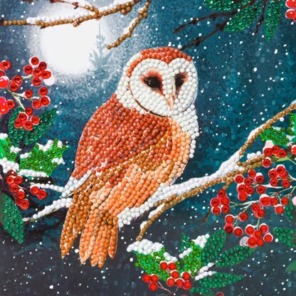 Crystal Art Barn Owl, 18x18cm Card Diamond Painting Kit