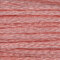 Anchor 6 Strand Embroidery Floss - 1021