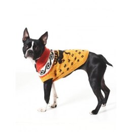 Cowichan Style Dog Coat in Bernat Super Value