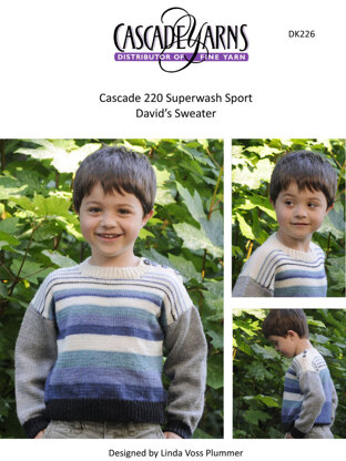 David's Sweater in Cascade 220 Superwash Sport - DK226